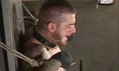 Rocco Steele Tfucks Tryp Bates