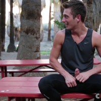 JD Phoenix jerks off in public - Picture 7