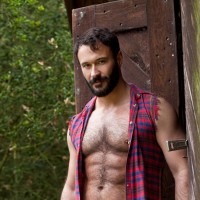 Wilfried Knight solo - Picture 5