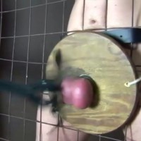 Ball on hard wood - Picture 14