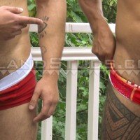 Judah & Rigo - Picture 16