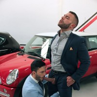 Bravado - Picture 17