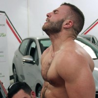 Bravado - Picture 19