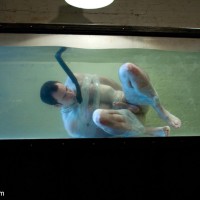 Submerged Under Water - Picture 16