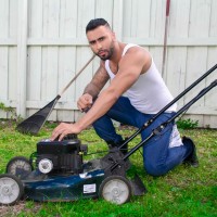 The Lawnmower Man - Picture 1