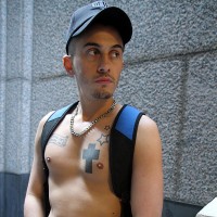 French stud Mickael David - Picture 12