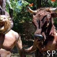 SPQR - Picture 13
