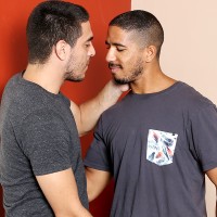 Mike Maverick and Damian Price - Picture 1