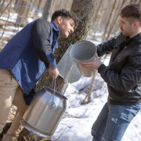 Sugar Shack - part 2 - Picture 5