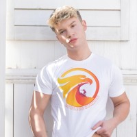 Falcon's Endless Summer - Picture 1