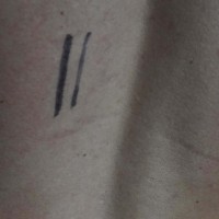 100% anon w/ Brett Foxx - Picture 3