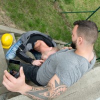 Roadside - Picture 12