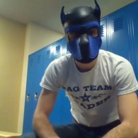 Puppy play training - Picture 1
