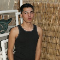 Tiger - Picture 1