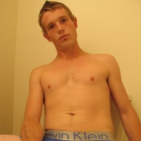 Viper - Picture 1