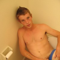 Viper - Picture 2
