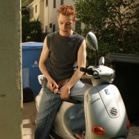 Dobie pees in the street - Picture 6