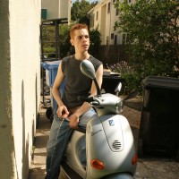 Dobie pees in the street - Picture 17