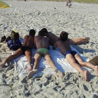 Beach Boys - Picture 4
