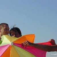 Beach Boys - Picture 19