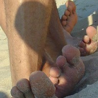 Beach Boys - Picture 29