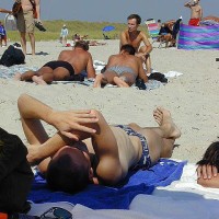 Beach Boys - Picture 35
