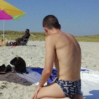 Beach Boys - Picture 40