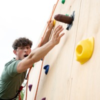 Cock climbing - Picture 7