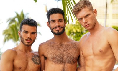 Pol Prince, Vlad Stark & Nico Zetta