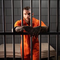Rise of the prison bitch, part 2 - Picture 2