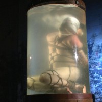 Head buzzed, ass stretched and water torment - Picture 12