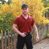 Delivery in rear! - Picture 1