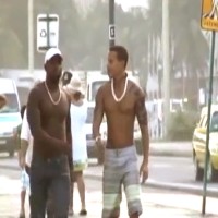 Neitor Madeira and Alef Carvalho - Picture 1