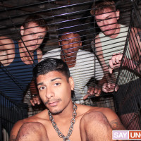 Welcome, ya filthy pig bottom - Picture 3