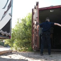 Rookie cop - Picture 2