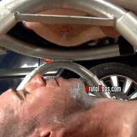 Session 122: Prison tongue duties - Picture 4