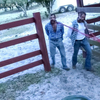 Musclebound & bullwhipped, part 7 - Picture 2