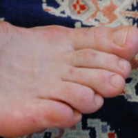 Foot Service - Picture 23