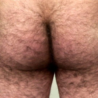 Taking the hairy guyy's measurements - Picture 7