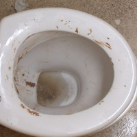 Session 24: Dirty tolet - Picture 1