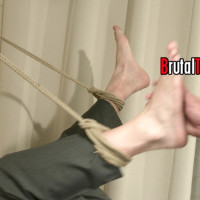 Session 533 - Picture 18