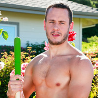 Gardener’s Prick - Picture 1