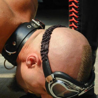 Folsom St. Festival - Picture 10