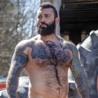 Truck Loads (part 5) - Picture 1