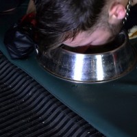 Yah-jil torments David Luca - Picture 4