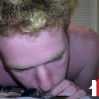 Swallow for forgiveness - Picture 4